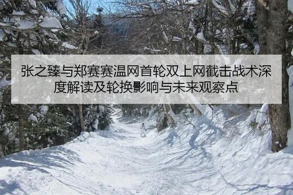 张之臻与郑赛赛温网首轮双上网截击战术深度解读及轮换影响与未来观察点