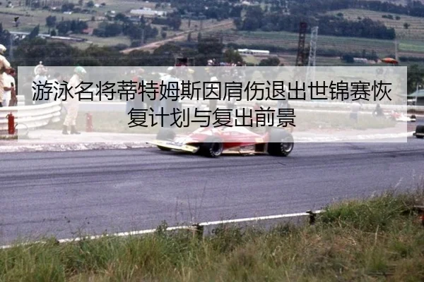 you-yong-ming-jiang-di-te-mu-si-yin-jian-shang-tui-chu-shi-jin-sai-hui-fu-ji-hua-yu-fu-chu-qian-jing-2-979.jpg